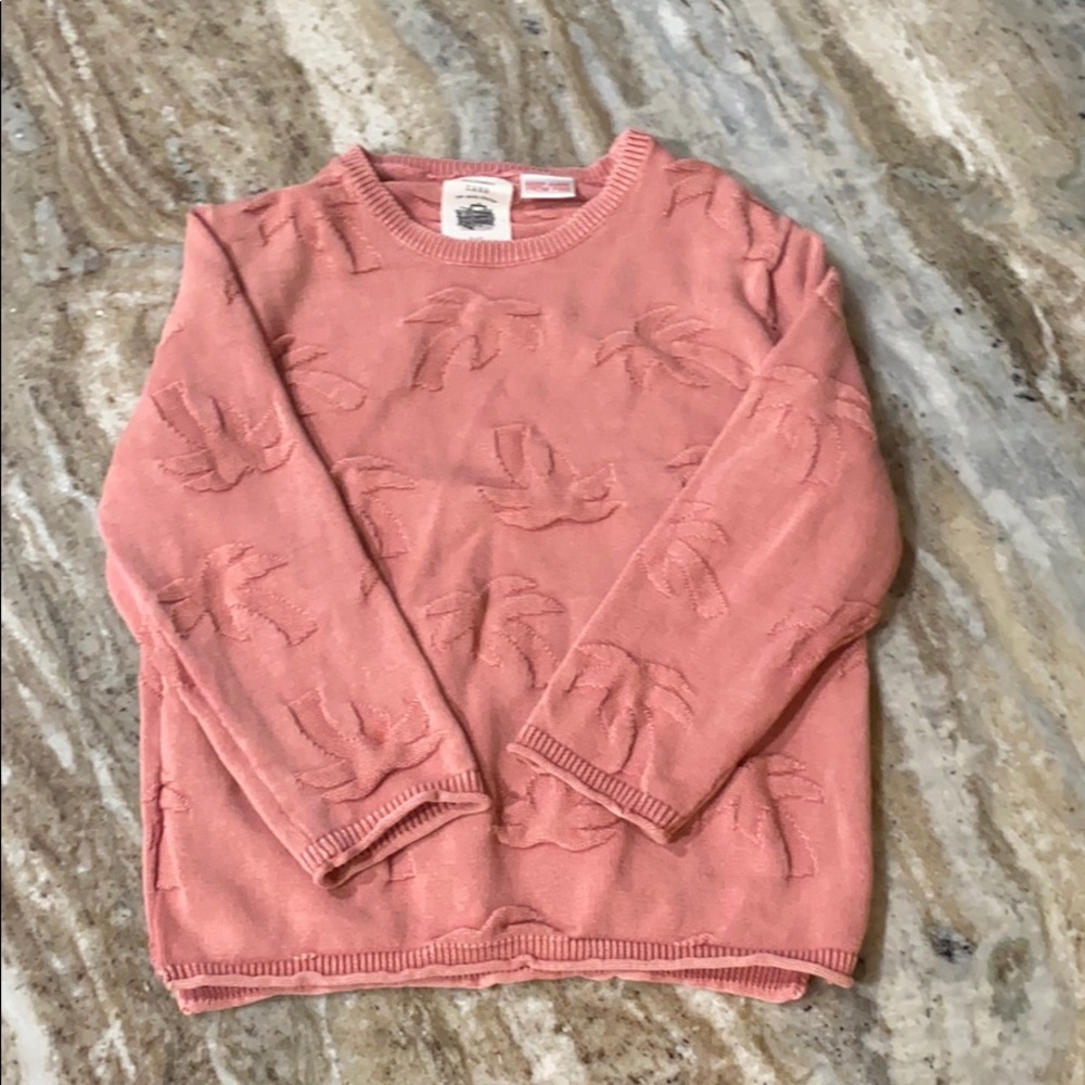 🌴🌴Adorable boys Zara sweater 🌴🌴